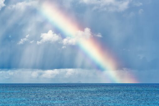 Scopri le stazioni meteo che hanno fatto impazzire TikTok