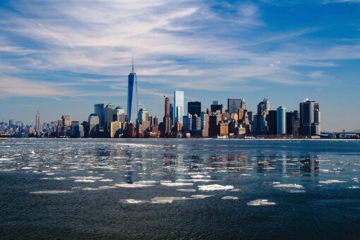 New York sarà più verde: una foresta nella Grande Mela