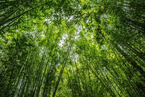 BiodiversityLab: nuovo spazio green nel cuore di Monza