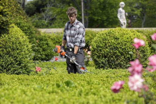 Siepi da tagliare: arrivano le multe dopo il 1° aprile
