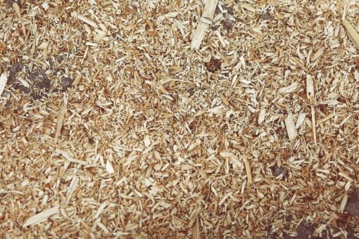 I residui del legno trasformati in “biografite” per le batterie: l’idea di una startup neozelandese