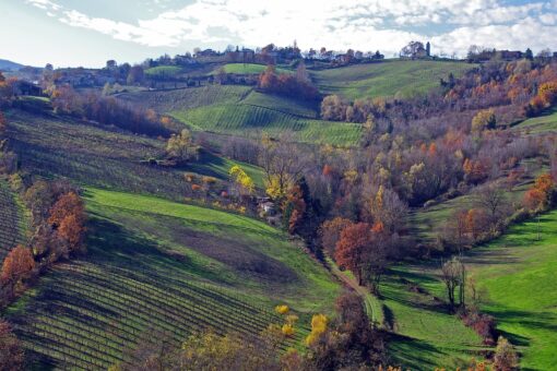 Nessun futuro per il tartufo? C’è di mezzo il cambiamento climatico