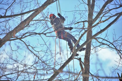 Crisi climatica e lavoro: l’ILO conferma il notevole impatto sui lavoratori