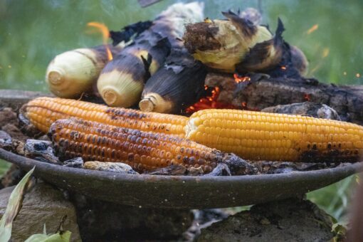 Il mais fritto e arrostito è il gustoso protagonista del menù del weekend