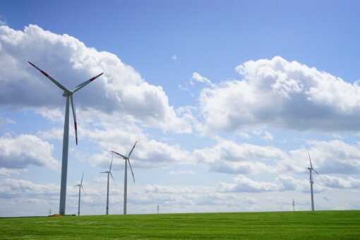Energia eolica: installate le prime pale in legno al mondo