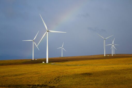 Decreto Legge Ambiente: tra eolico, fotovoltaico, e nucleare