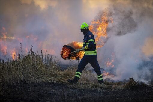 Video – Incendi devastano la Patagonia: allarme per flora e fauna