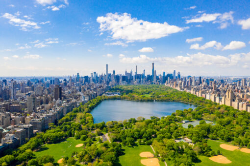 Un nuovo studio rileva: gli alberi peggiorano la qualità dell’aria in città