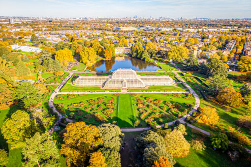 Kew Gardens: gli alberi muoiono a causa del riscaldamento globale