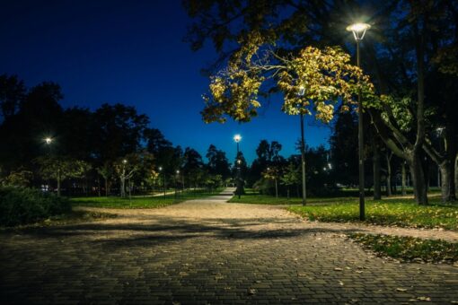 La luce artificiale indurisce le foglie: danni alla catena alimentare
