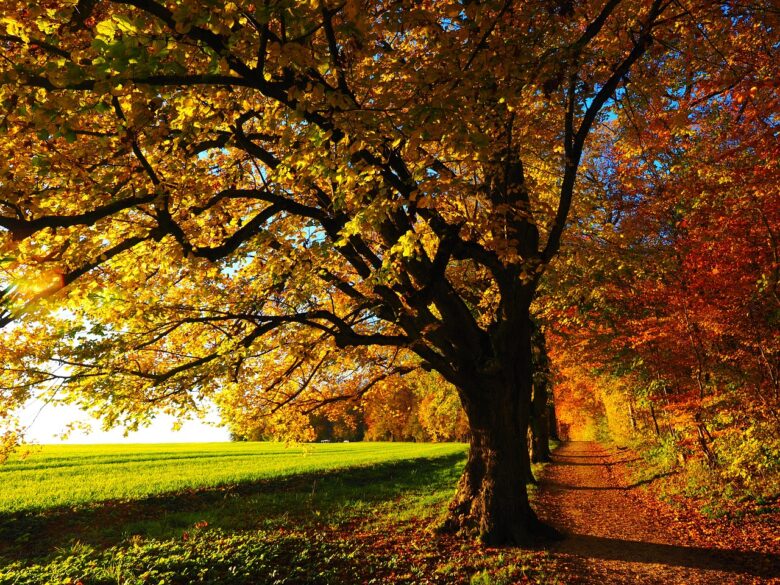 Equinozio, D'autunno