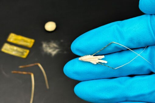 HybriBot, il mini-robot bio-ibrido che semina le zone impervie