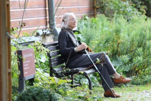 Inquinamento luminoso e Alzheimer: la risposta dei ricercatori di Chicago