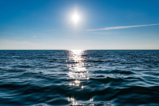 Superato il limite dell’acidificazione degli oceani
