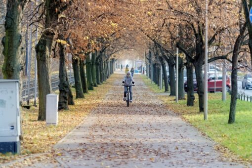 La città più green d’Italia? E’ Reggio Emilia