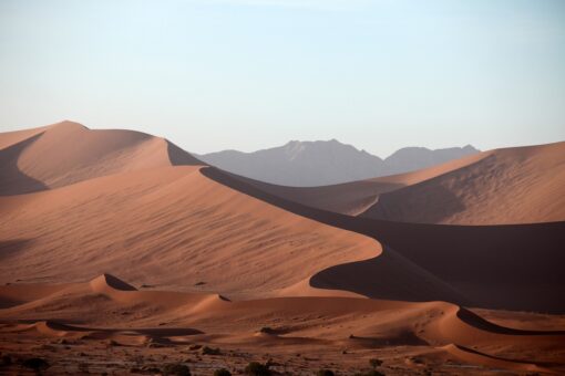 Deserto del Sahara tra precipitazioni e inondazioni