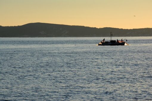 Mar Adriatico, un ammasso di rame e metalli pesanti