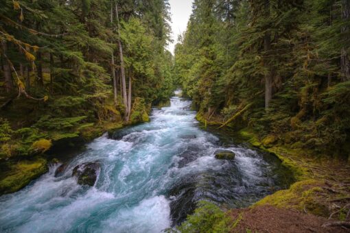Nuova minaccia per laghi e fiumi