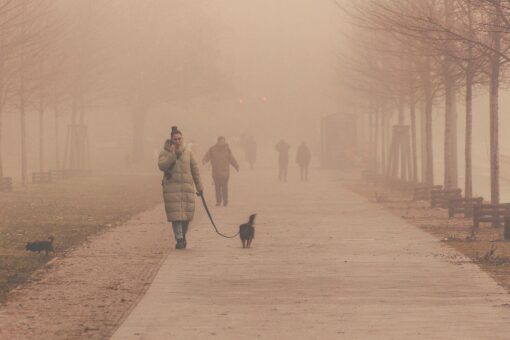 A Milano ritorna la nebbia: quali sono le cause?