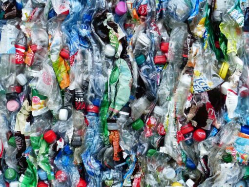 La plastica sta distruggendo il Pianeta!