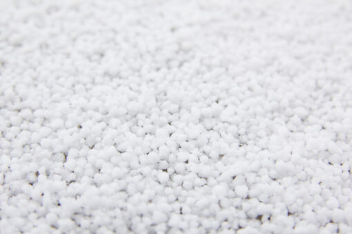 Incredibile: Rimini imbiancata dalla neve tonda