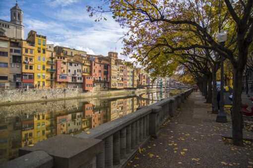 Verde urbano: potrebbe risolvere il riscaldamento in città?