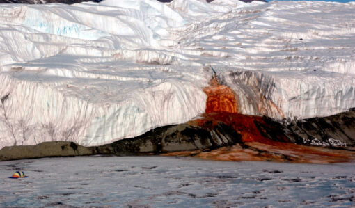 Cascate di sangue in Antartide: svelato il mistero