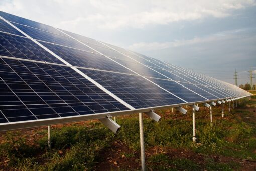 Coltivazioni con agrivoltaico: la soluzione per ridurre emissioni
