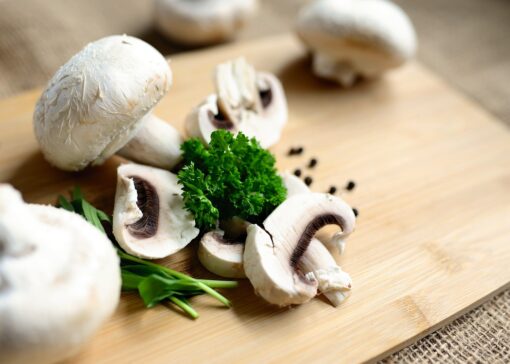 Porcini a maggio: ecco dove andare a prenderli prima degli altri
