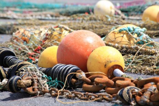 Attrezzi da pesca dispersi: una trappola mortale per i pesci