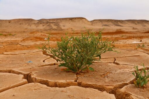Danni climatici in Italia: bilancio shock tra vittime e costi