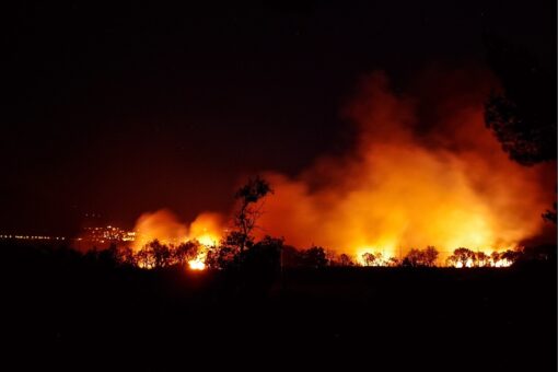 Emergenza incendi in Brasile: incendi incontrollabili