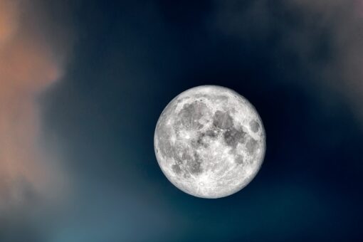 Video – Calendario lunare 2025 per semina e orto: tutte le date