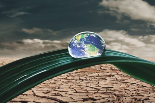 Il problema della siccità in Italia: bisogna fare qualcosa!