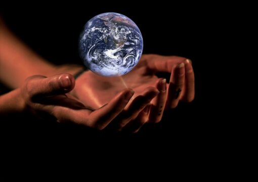 Emergenza clima e biodiversità: l’UNEP lancia l’allarme!