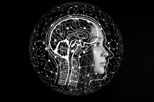 AI e impatto ambientale: l’allarme degli scienziati