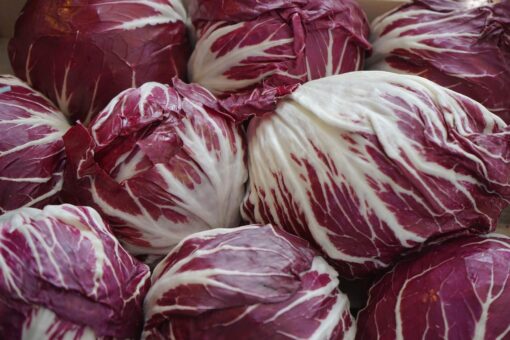 Involtini di radicchio Trevisana alla griglia
