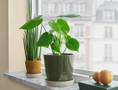 I vasi IKEA del catalogo 2026 sono la svolta per chi ama le piante