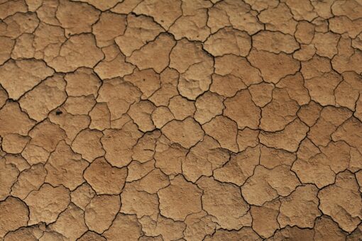 Eventi climatici estremi in Italia e UE: il costo dell’estate
