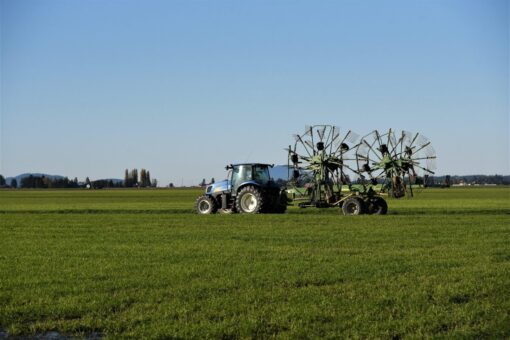 Sfratto agrario: cos’è e come funziona
