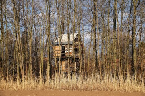 Casa sull’albero in Italia: il sogno è ora possibile