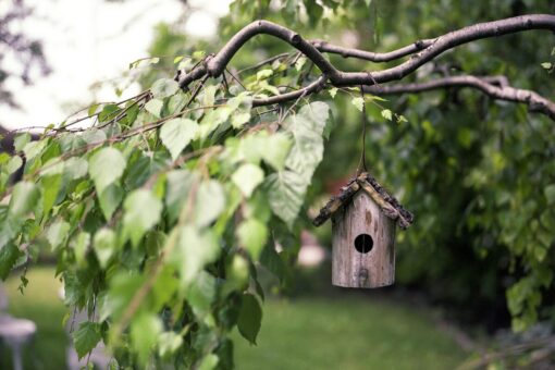 Costruire una casetta in giardino: tutti i permessi necessari