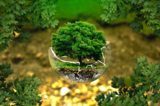 HealthRiskADAPT: il progetto UE contro i rischi climatici