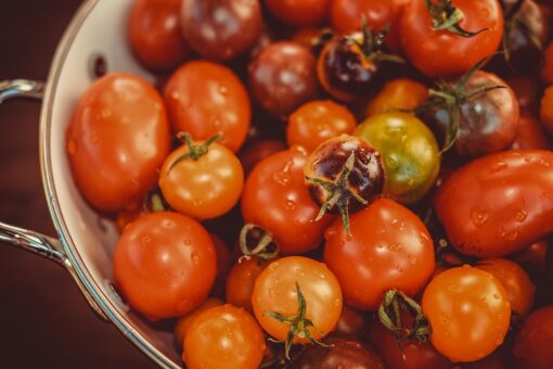 Stop agli sprechi: l’UE approva nuove norme alimentari