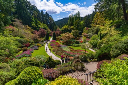 Video – Giardinaggio, i 3 trend da non perdere per il 2026