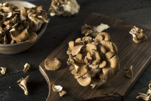 Grifola frondosa in umido: la ricetta semplice per un piatto ricco di sapore