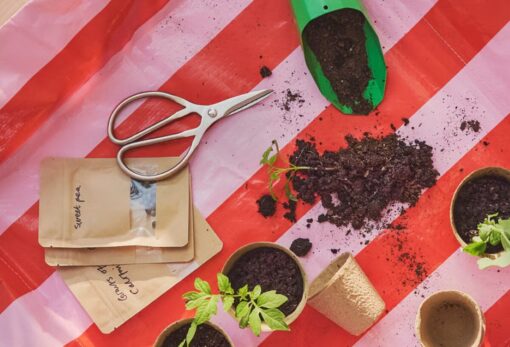 IKEA punta sul giardinaggio anche in inverno: le novità da non perdere
