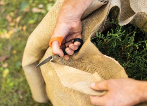 La primavera è più vicina di quanto pensi: le offerte OBI per il giardino da non perdere