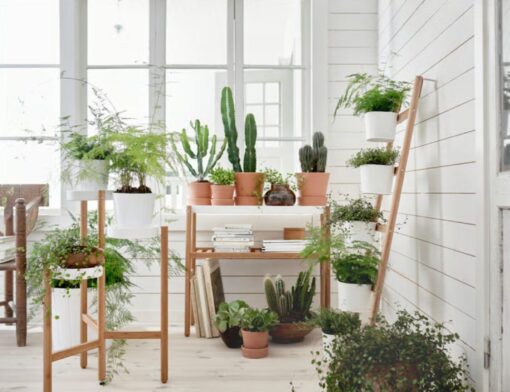 Giardino verticale in casa: le soluzioni IKEA per sfruttare anche i piccoli spazi