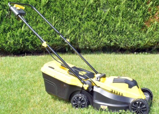 Tagliaerba Leroy Merlin: guida ai modelli migliori